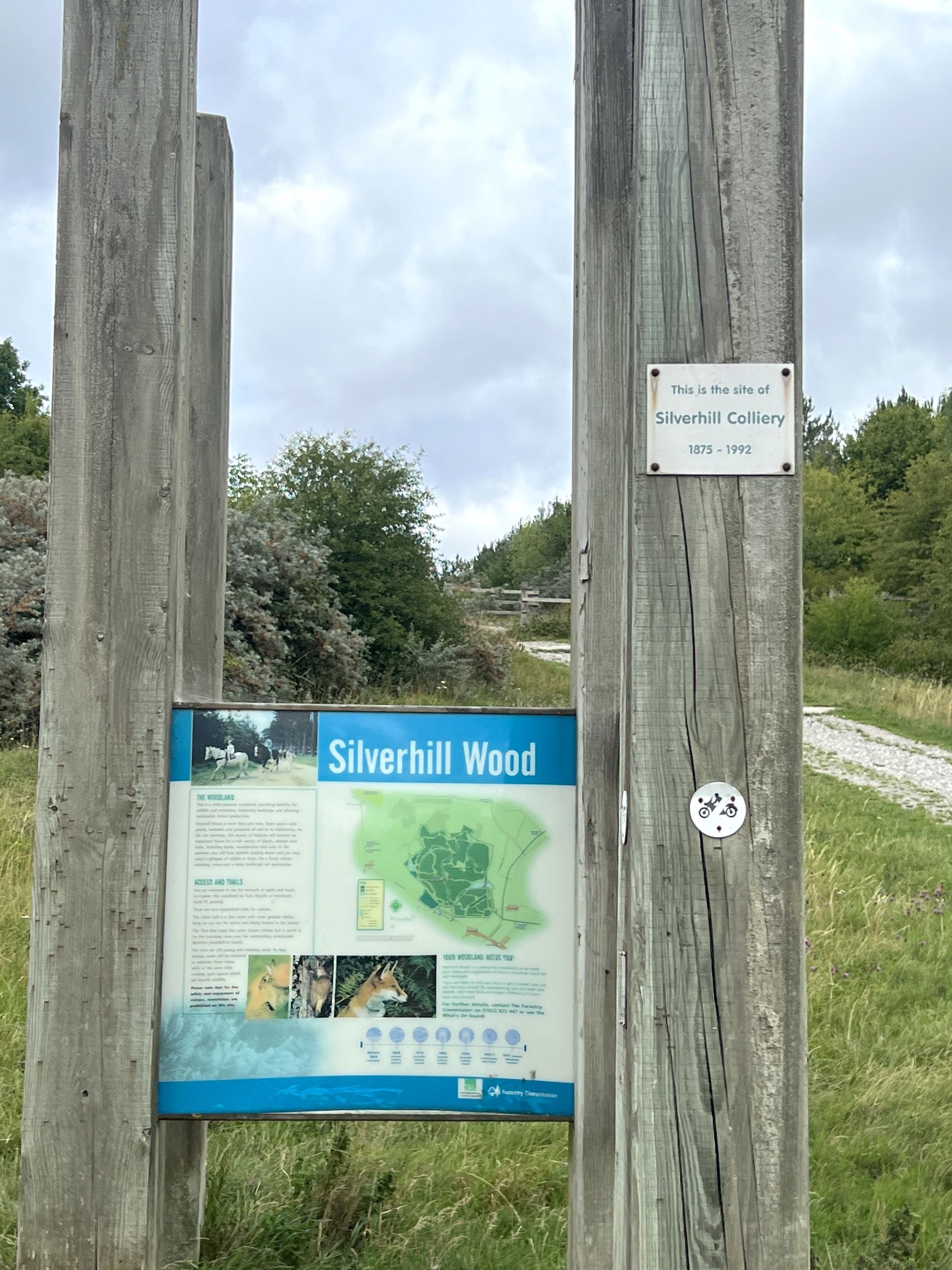 Silverhill1